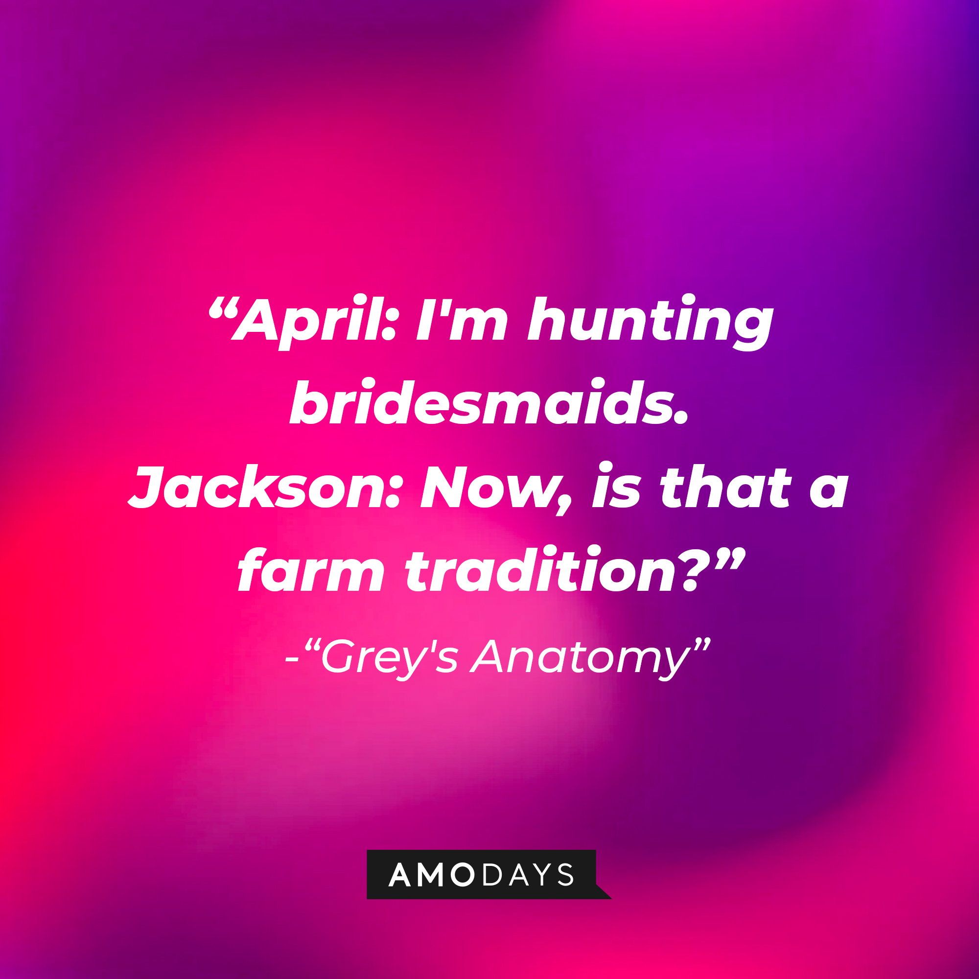 A dialogue from "Grey's Anatomy" series: "April: I'm hunting bridesmaids. Jackson: Now, is that a farm tradition?" | Source: AmoDays