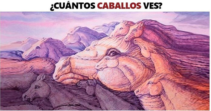 Fuente: YouTube/Hipica4patas Fuente: YouTube/Hipica4patas