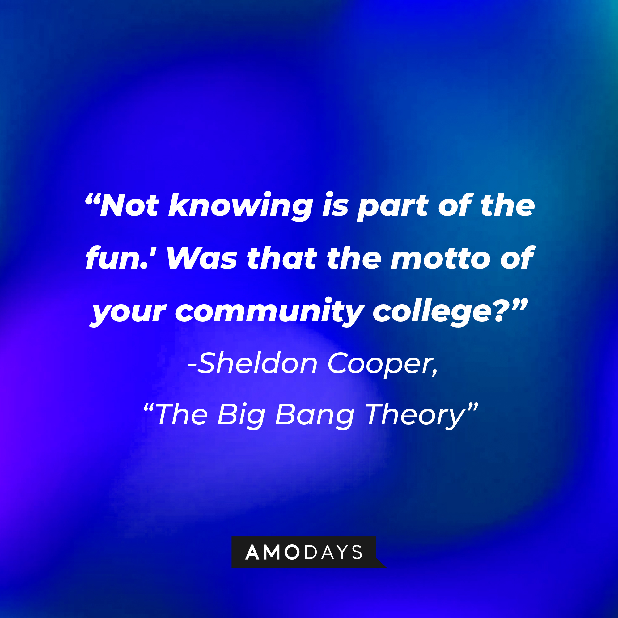 Sheldon Cooper's quote from "The Big Bang Theory": "'Not knowing is part of the fun.' Was that the motto of your community college?" | Source: Amodays