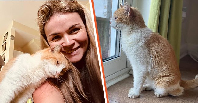 Shelley Brockbank reunited with her cat Alfie after 12 years apart | Photo: facebook.com/JSPCAAnimalsShelter