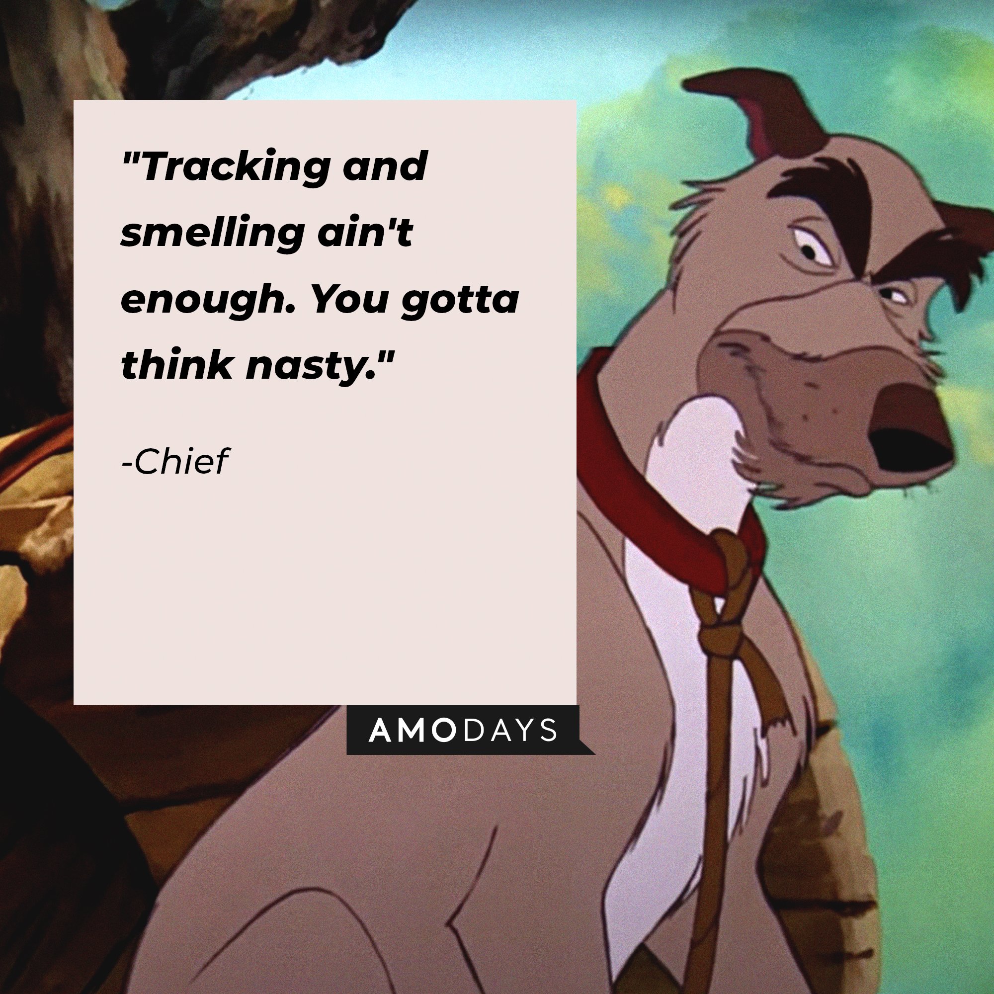 Chief’s quote: "Tracking and smelling ain't enough. You gotta think nasty." | Image: AmoDays