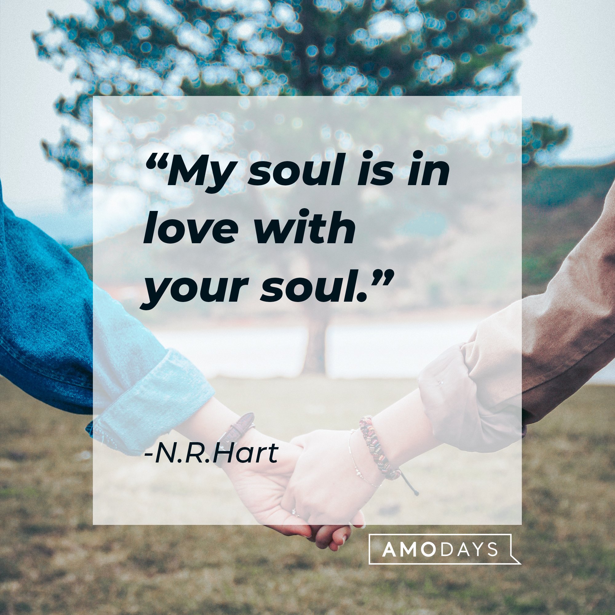 N.R.Hart’s quote: "My soul is in love with your soul." | Image: AmoDays
