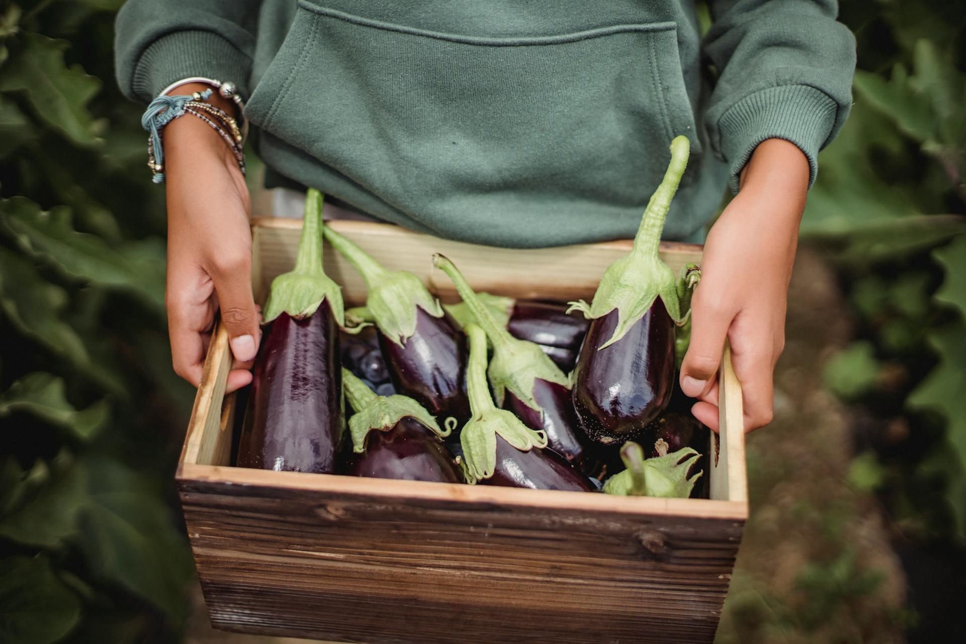 A person holding a crate of eggplants | Source: Pexels