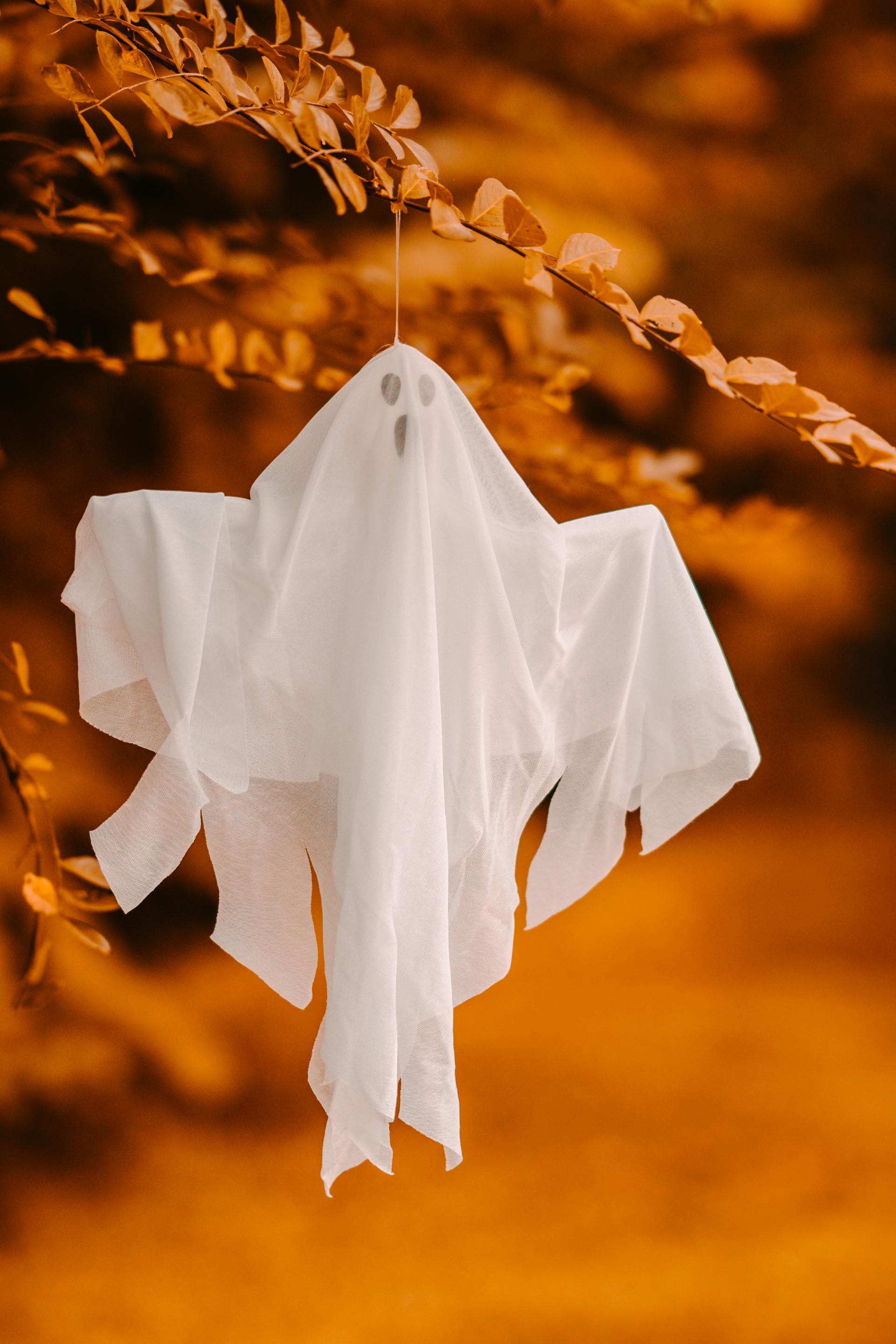 Decorative Halloween ghost ornament hung on a branch | Source: Pexels