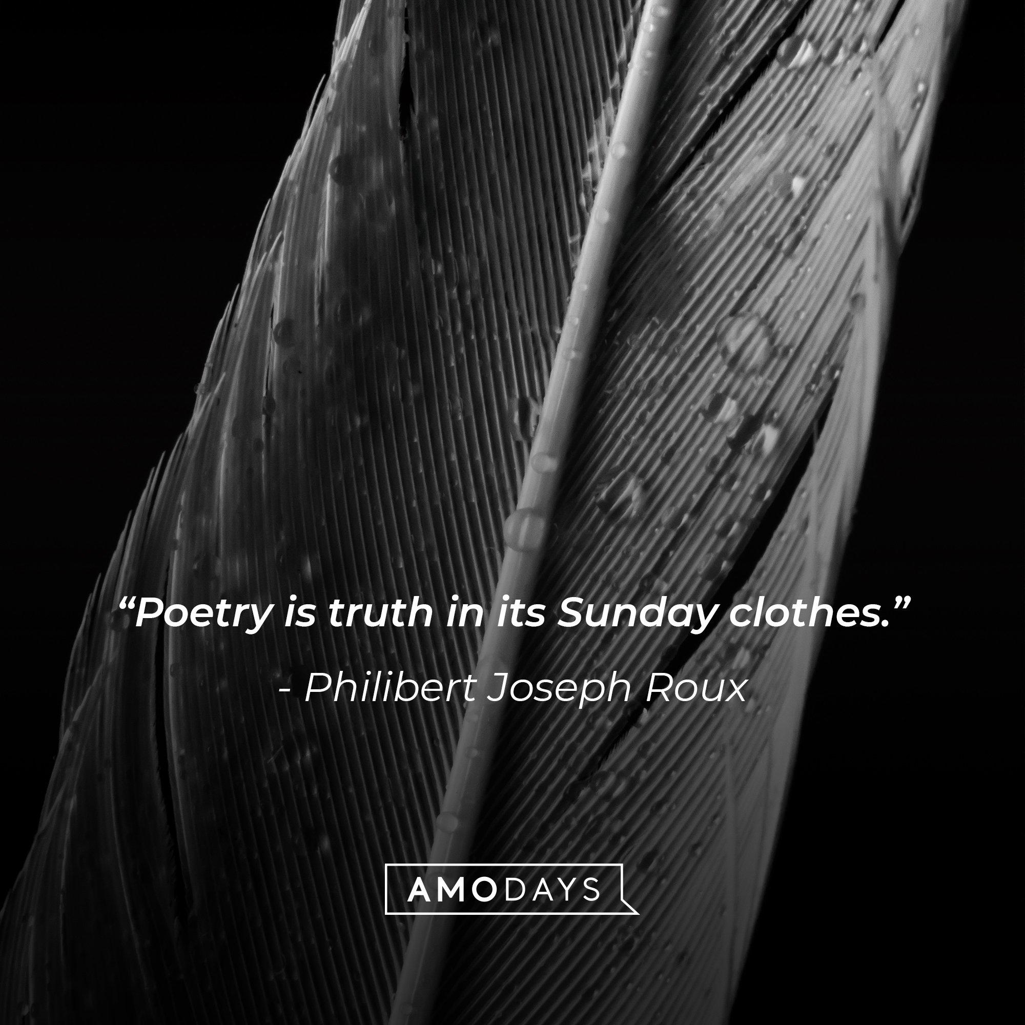 Philibert Joseph Roux's quote: “Poetry is truth in its Sunday clothes.” | Image: AmoDays