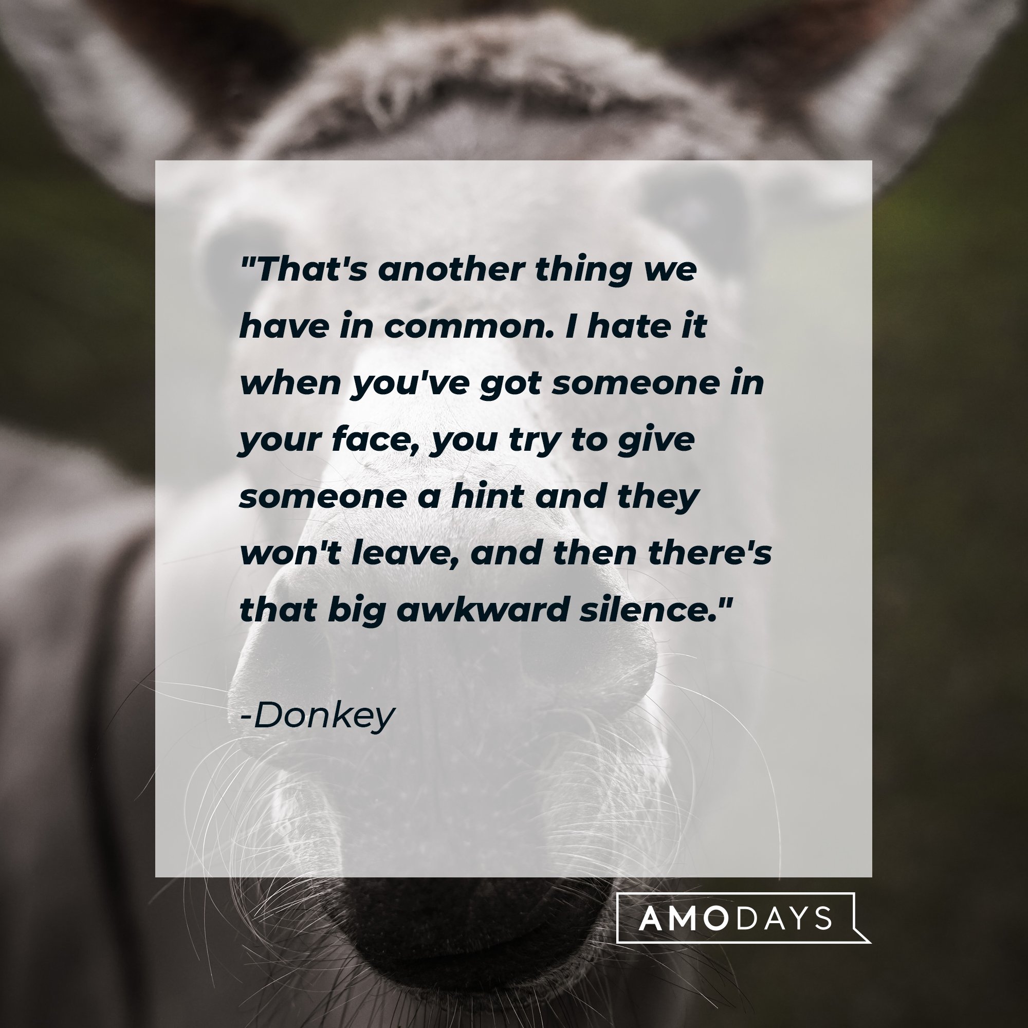Donkey's quote: "That's another thing we have in common. I hate it when you've got someone in your face, you try to give someone a hint and they won't leave, and then there's that big awkward silence." | Image: AmoDays