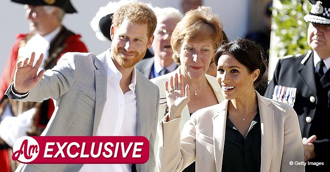 Royal Expert Explains Prince Harry And Meghan Markle Giving Up Duties ...