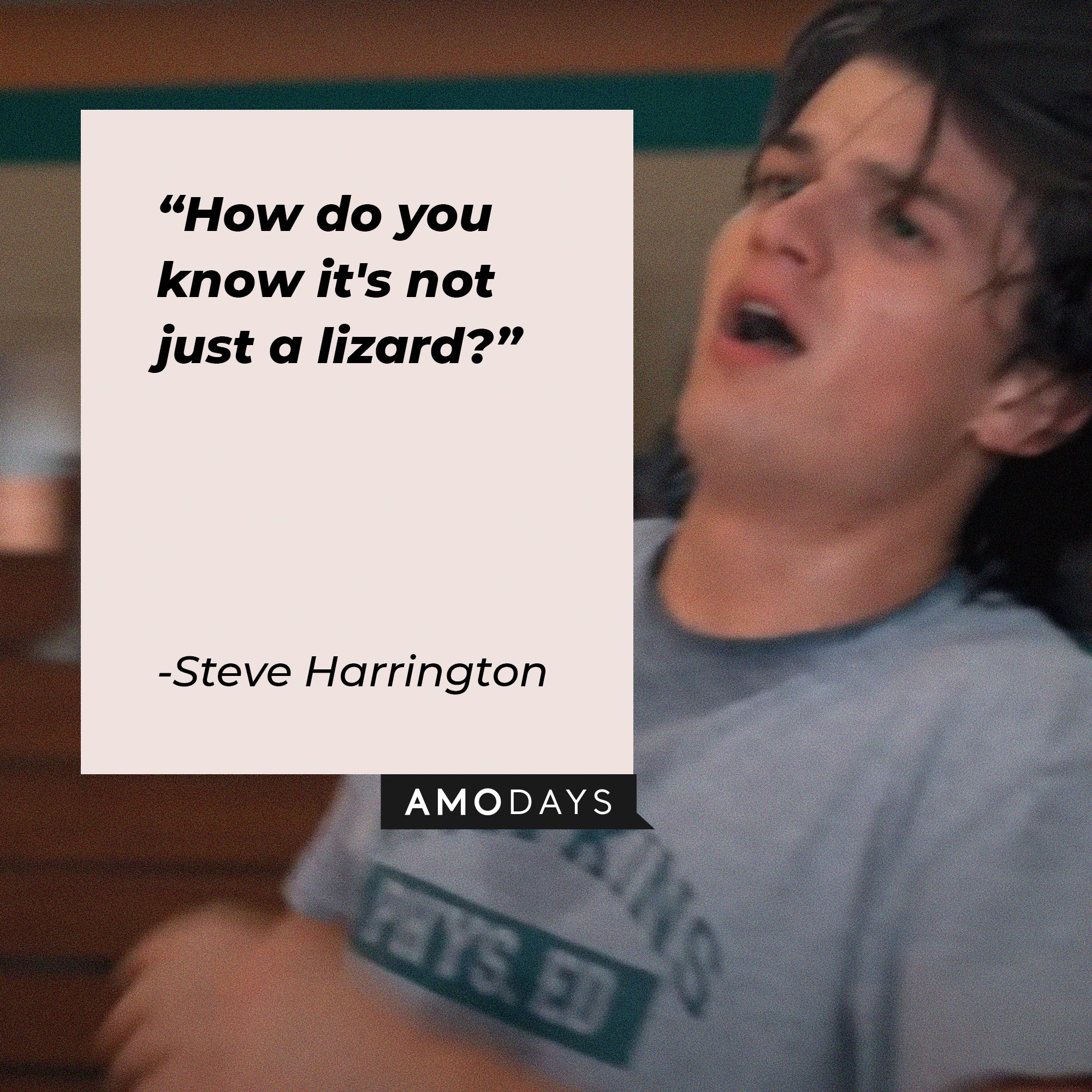 Steve Harrington's quote: “How do you know it's not just a lizard?” | Image: AmoDays  