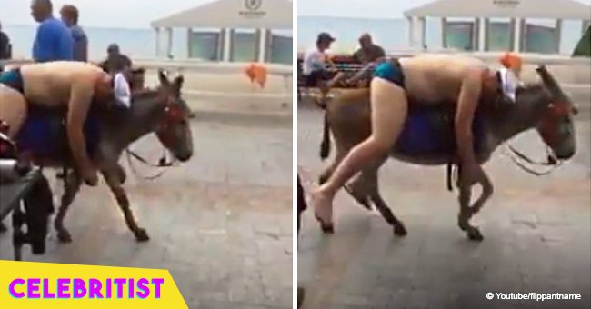 Hilarious moment police chase drunk man who fell asleep on a moving donkey