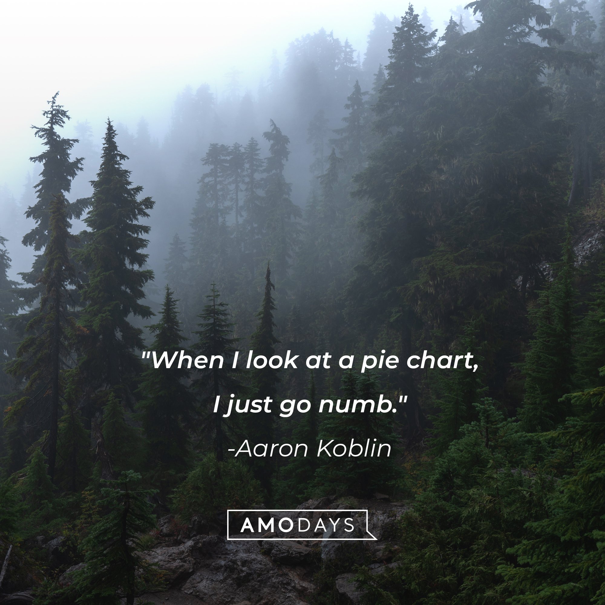  Aaron Koblin’s quote: "When I look at a pie chart, I just go numb." | Image: AmoDays 