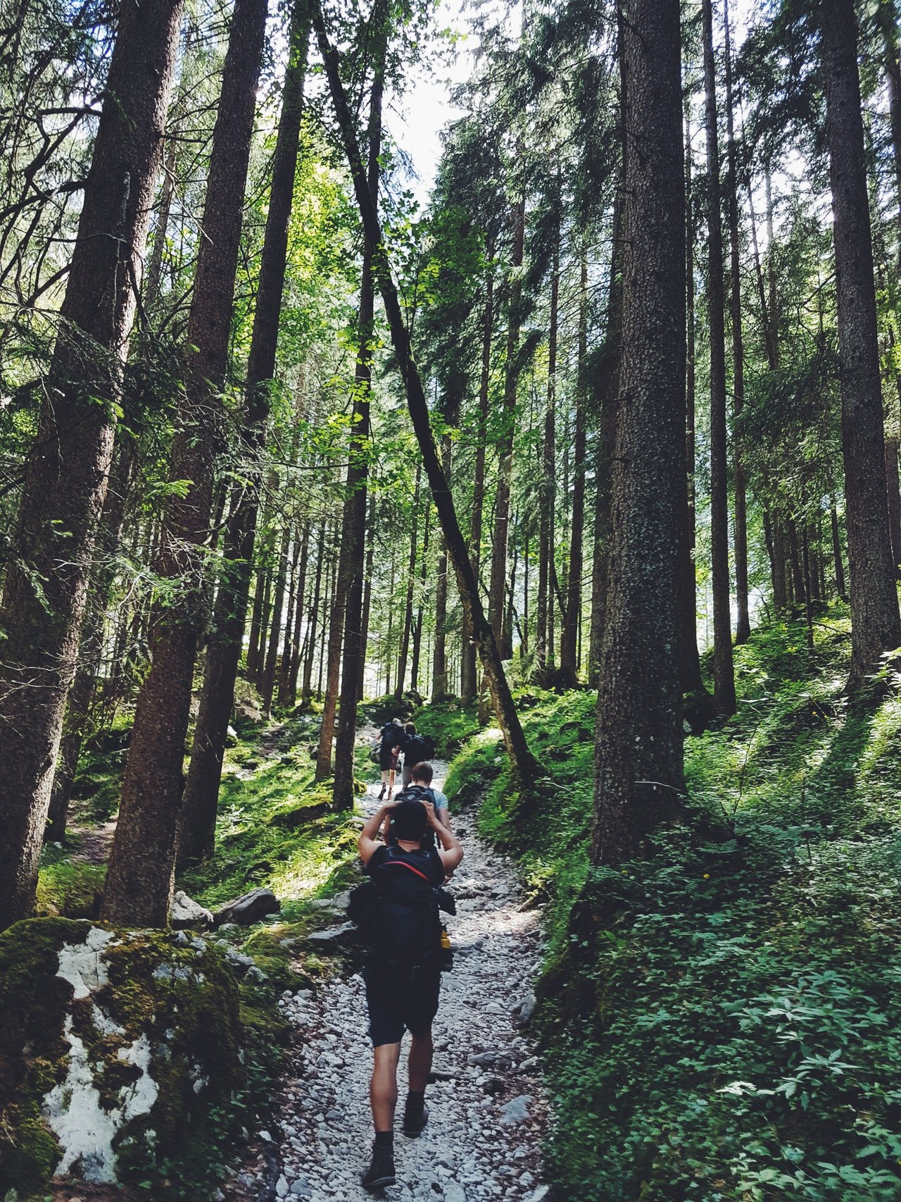 Four people walking in the woods| Photo" by Ben Maxwell from Pexels