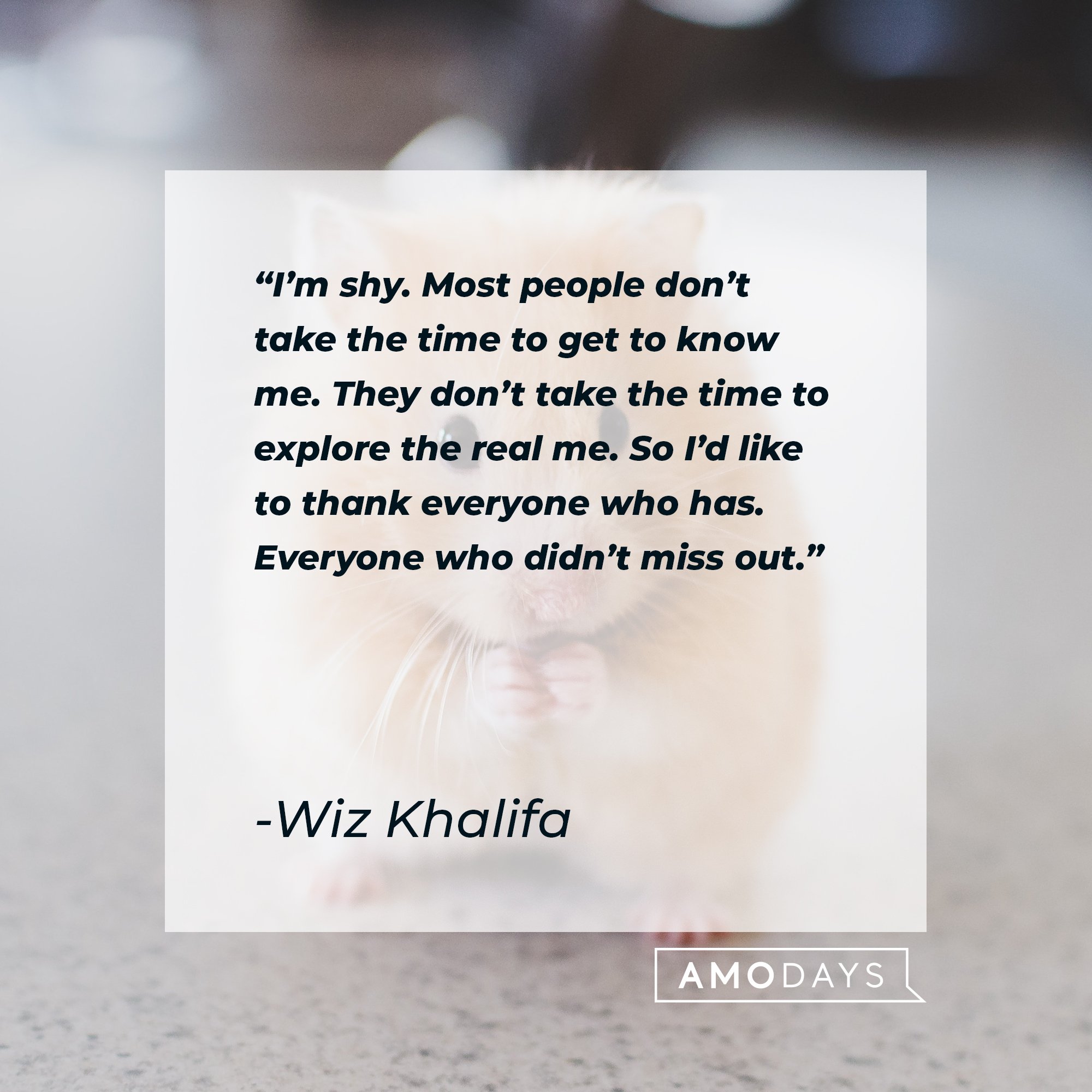 Wiz Khalifa's quote: “I’m shy. Most people don’t take the time to get to know me. They don’t take the time to explore the real me. So I’d like to thank everyone who has. Everyone who didn’t miss out.” | Image: AmoDays