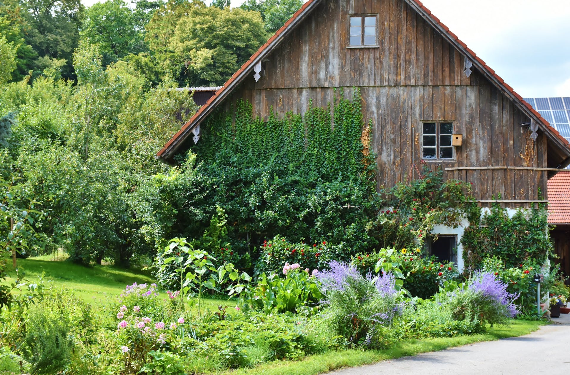 A wooden house surrounded by greenery | Source: Pexels