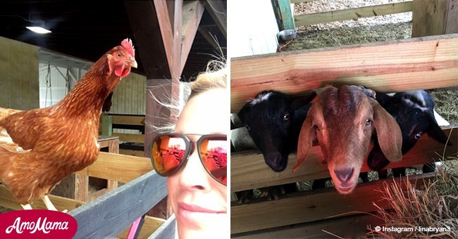 Caroline Bryan introduces fans to her pets' shenanigans at 'Brett's Barn'