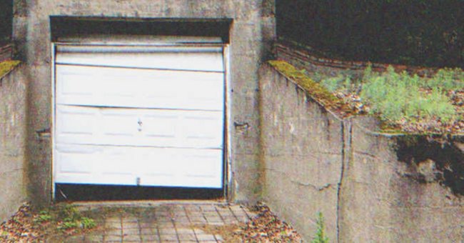 Elle vivait dans un garage avec ses bébés | Source : Shutterstock.com