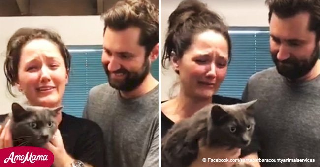 Distraught woman reunited with lost cat in emotional video