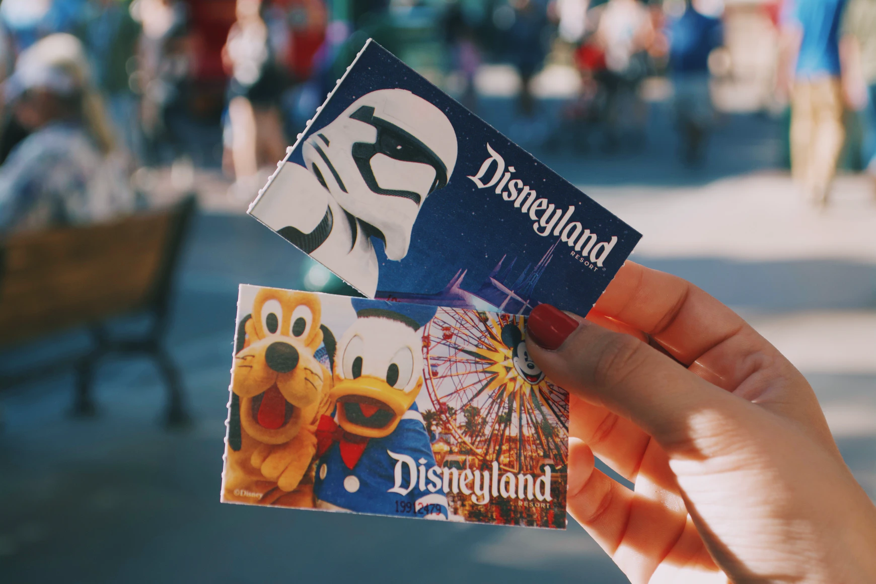 A person holding two Disneyland passes. | Source: Unsplash