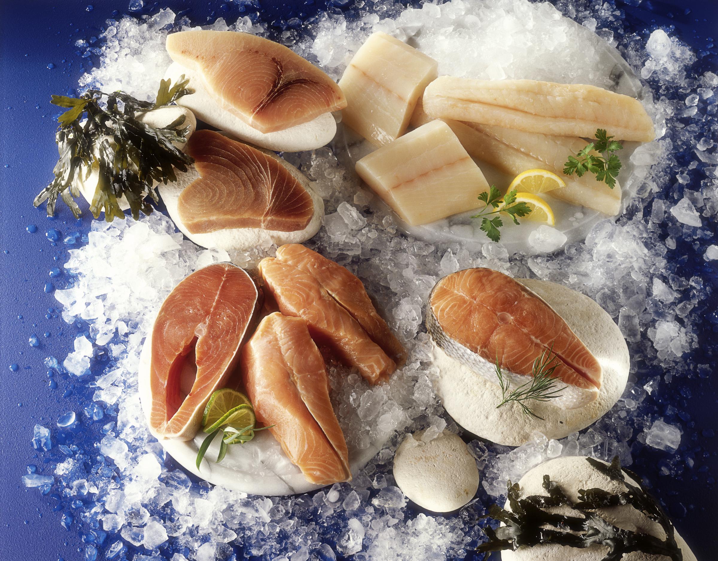Assorted cuts of fresh fish | Source: Getty Images