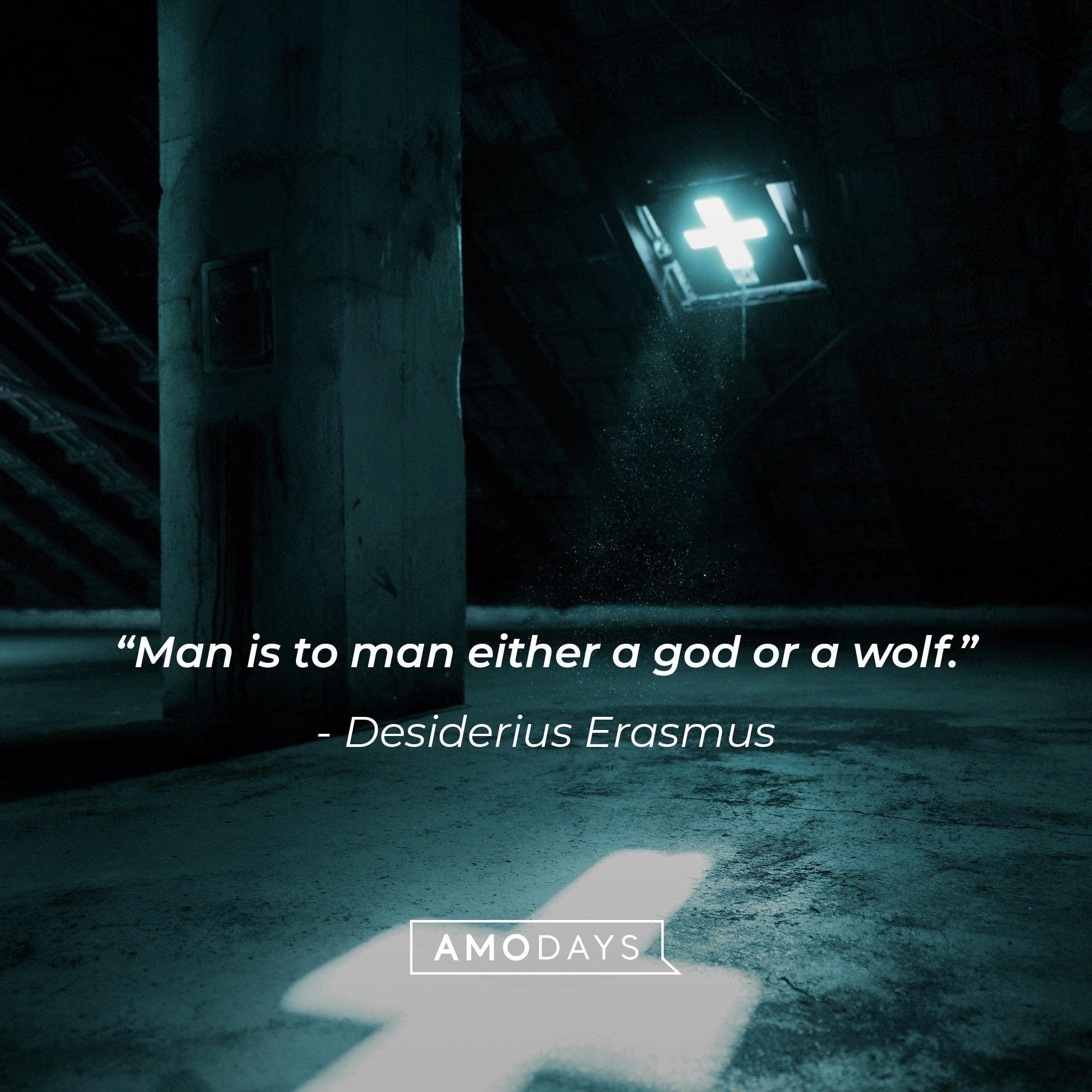  Desiderius Erasmus's quote: “Man is to man either a god or a wolf.” | Image: AmoDays