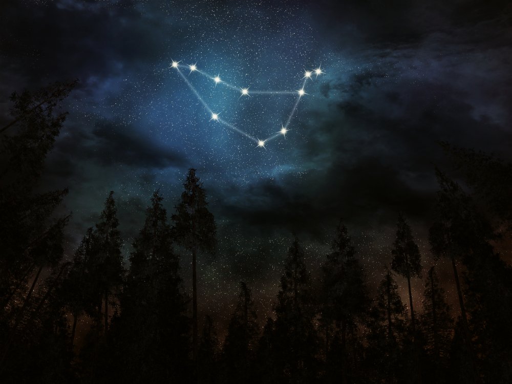 An illustration of the Capricorn constellation in the night sky | Source: Shutterstock