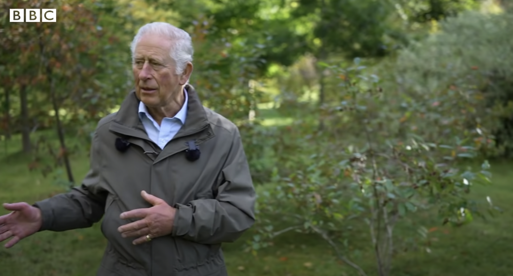 King Charles during an interview in the garden in Balmoral Estate, dated 2022 | Source: YouTube/BBC News