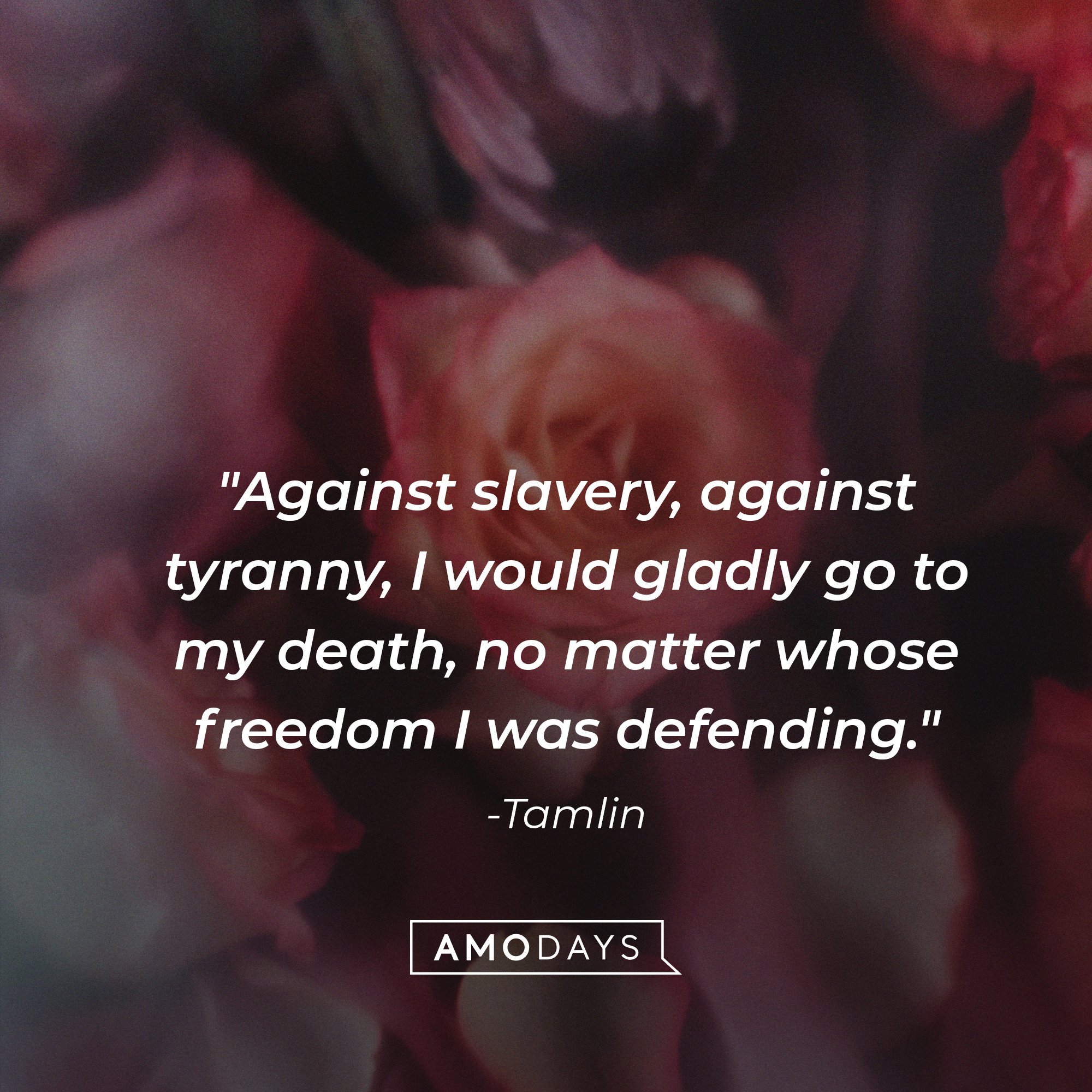 Tamlin‘s quote: "Against slavery, against tyranny, I would gladly go to my death, no matter whose freedom I was defending." |  Image: AmoDays