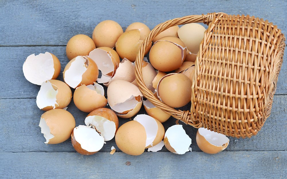 A photo of broken eggs in one basket. | Photo: Shutterstock