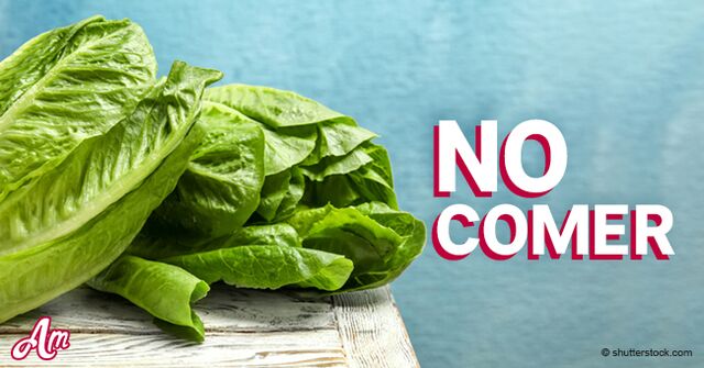Gobierno advierte: no comer ningún tipo de lechuga romana, puede estar contaminada con E.coli