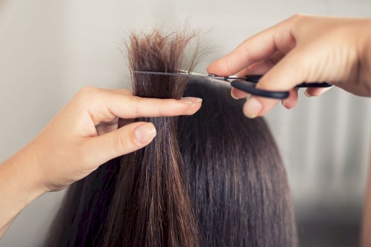 Eine Friseurin, der jemandem die Haare schneidet. | Quelle: Shutterstock