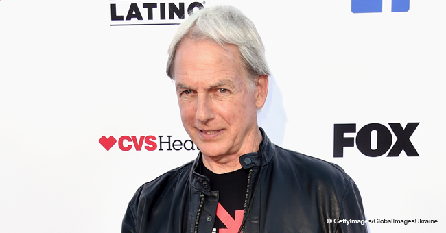 Mark Harmon Thanks NCIS Fans with Just a Few Words in an Emotional Video Message