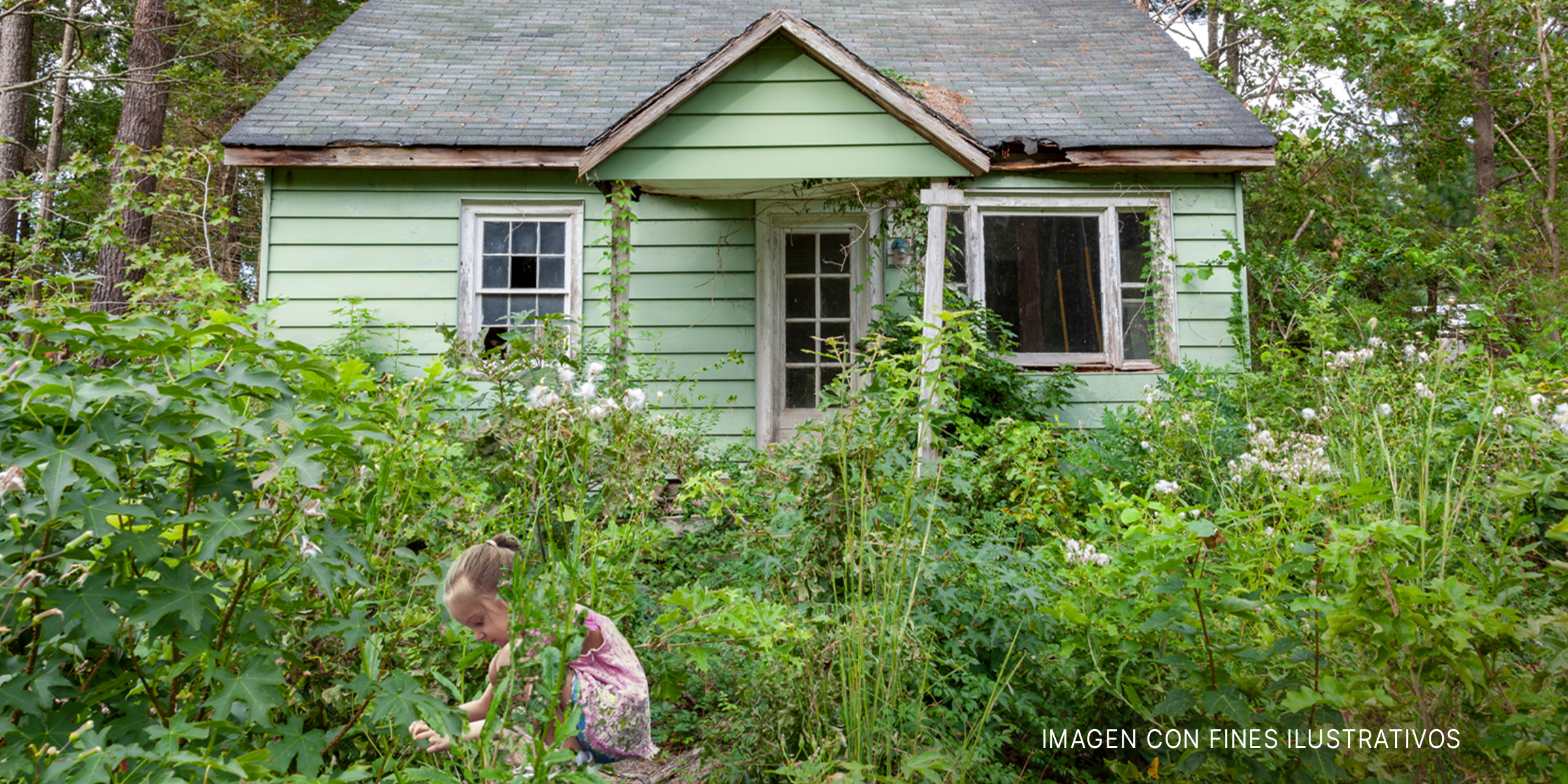 Pequeña casa en el bosque | Foto: Shutterstock