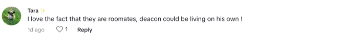 Fan comment about Deacon Phillippe, dated November 15, 2023 | Source: TikTok/calebwsimpson