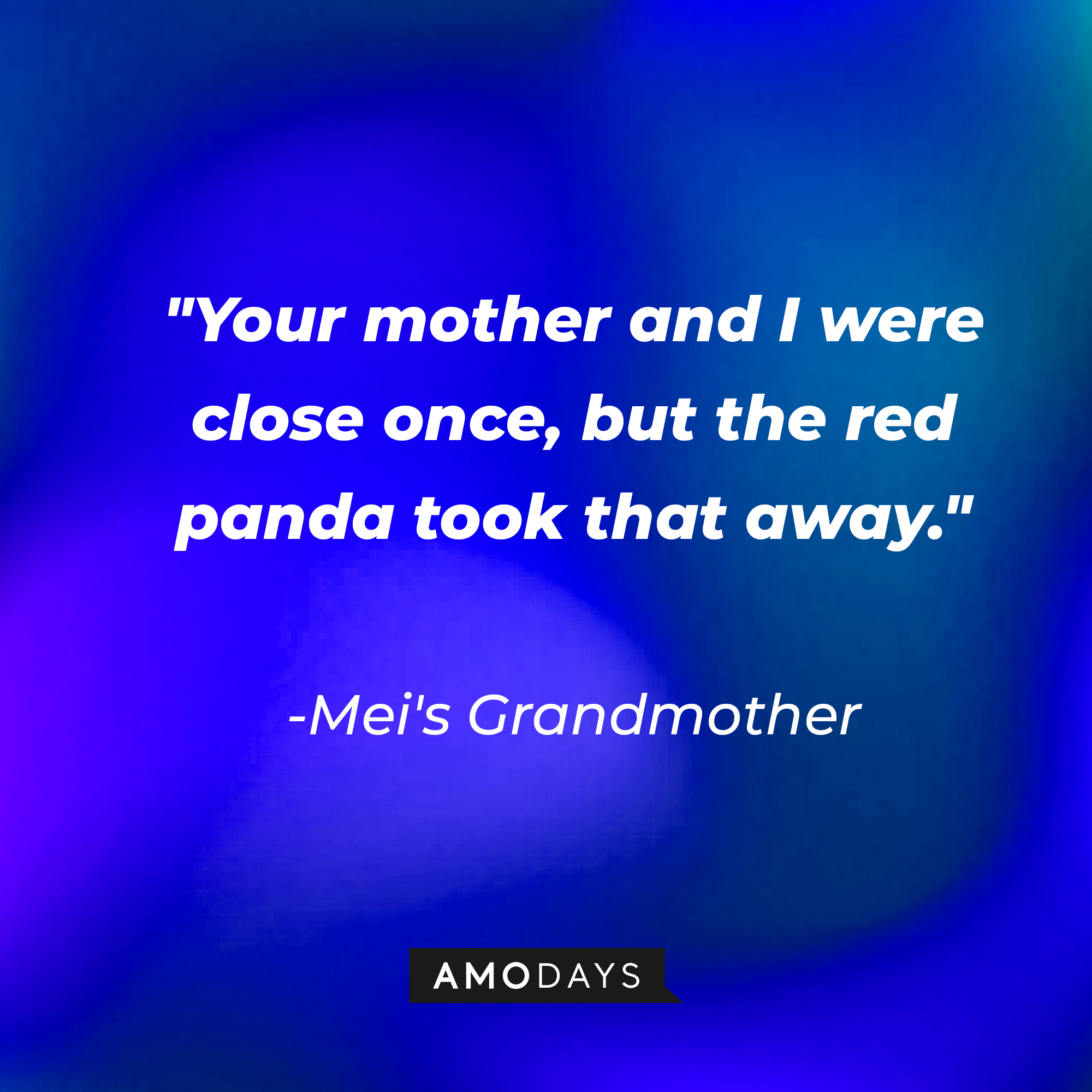 Mei's Grandmother's quote: "Your mother and I were close once, but the red panda took that away." | Source: AmoDays