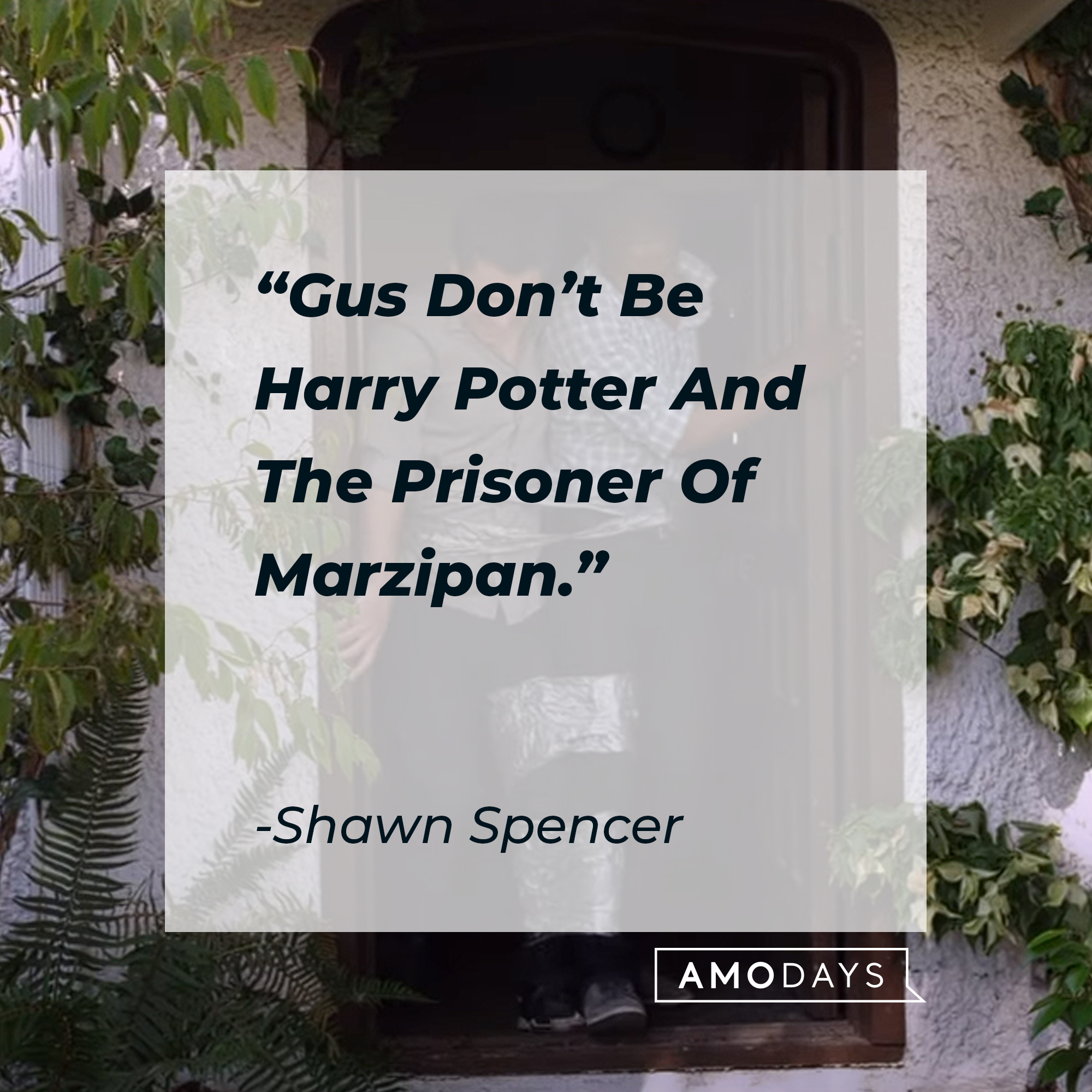 Shawn Spencer's quote: "Gus Don't Be Harry Potter And The Prisoner of Marzipan." | Source: youtube.com/Psych