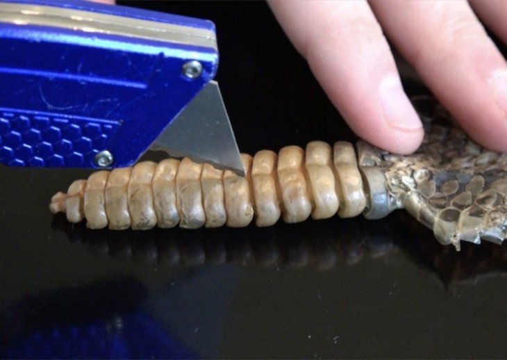 Source: YouTube / 'What's Inside?' Source: YouTube / 'What's Inside?'