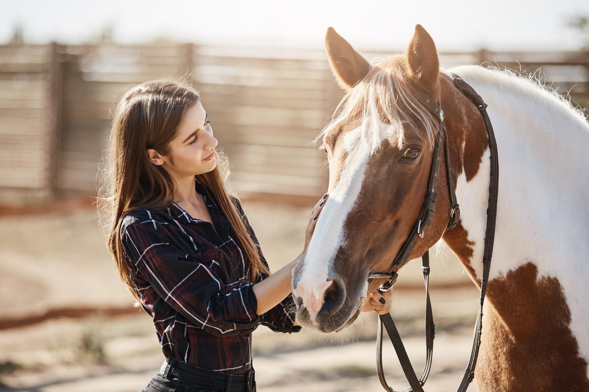 A woman petting a horse | Source: Freepik