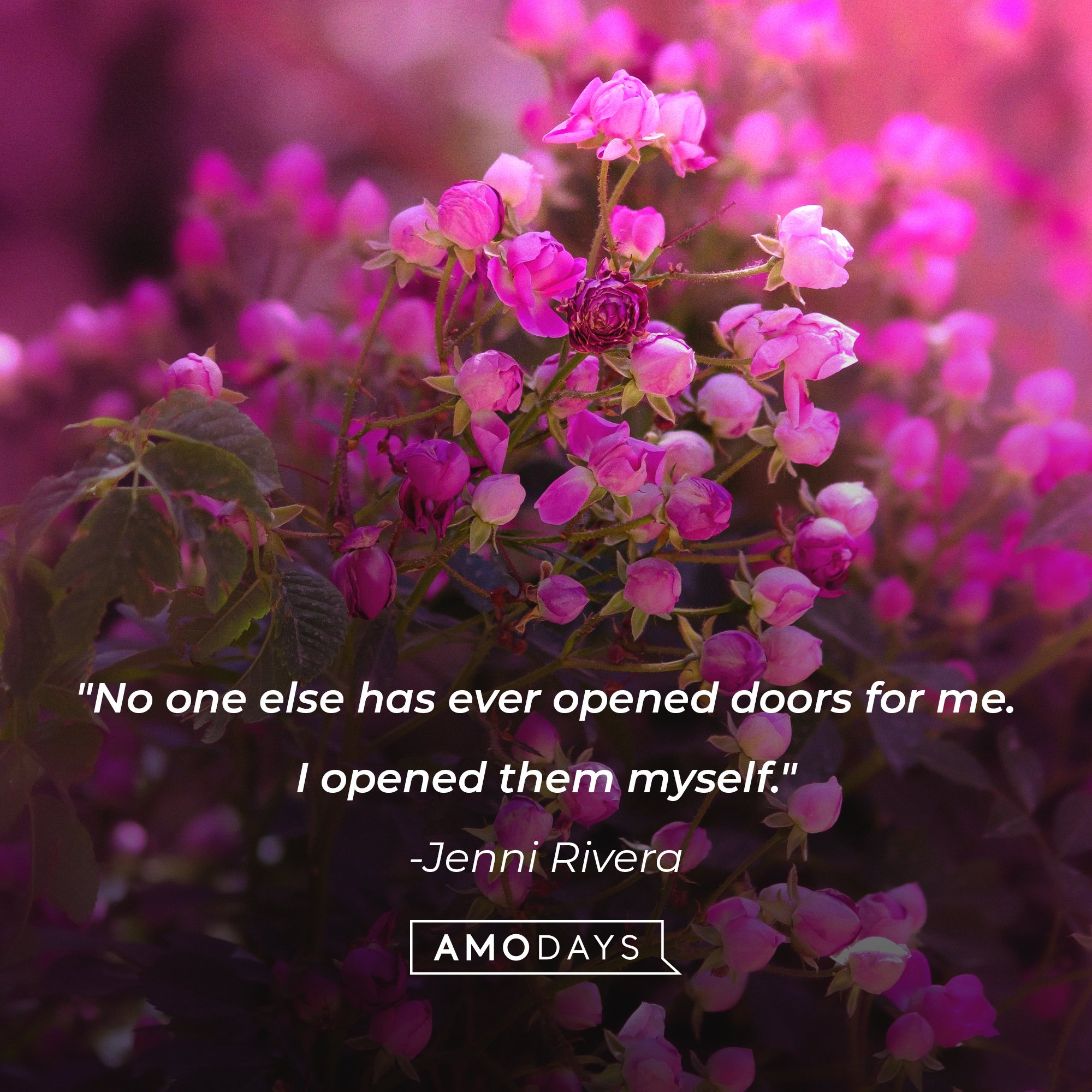 Jenni Rivera’s quote: "No one else has ever opened doors for me. I opened them myself." | Image: AmoDays