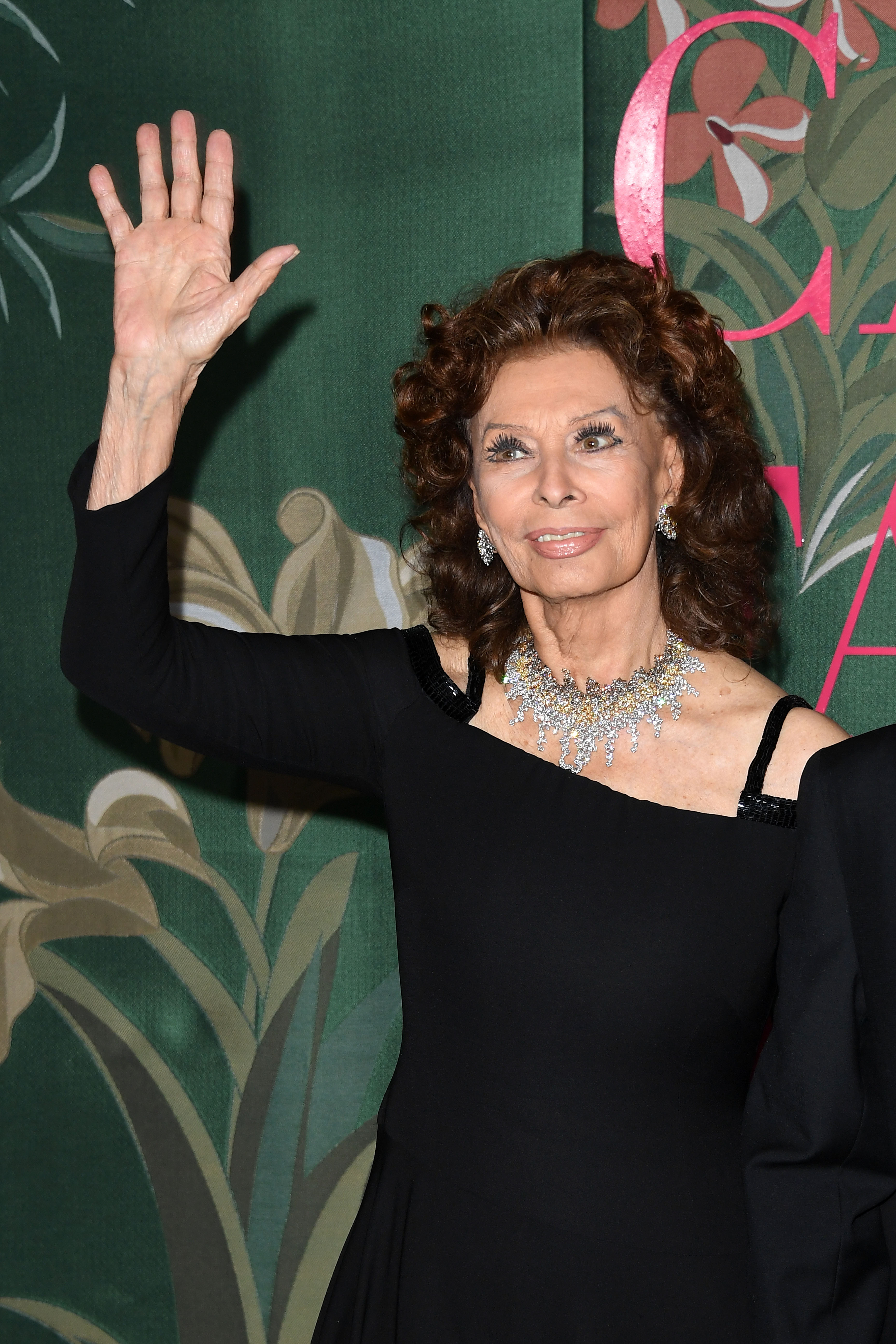 Sophia Loren at the Milan Fashion Week Spring/Summer 2020 in Milan, Italy on September 22, 2019 | Source: Getty Images