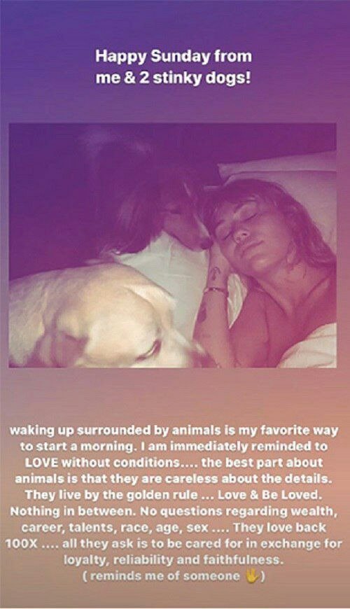 Laying in bed with her two dogs, Miley Cyrus shares a cryptic message about love on her Instagram story | Source: instagram.com/mileycyrus