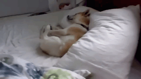 Imagen tomada de: Giphy