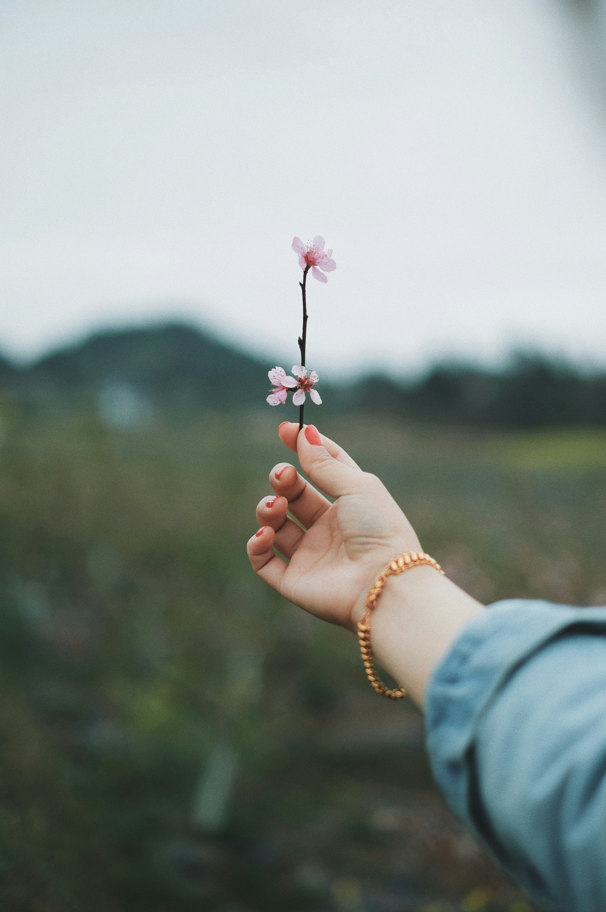 A person wearing a bracelet holding a flower | Source: Unsplash