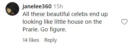 Fan comment, dated September 2023 | Source: Instagram/pagesix
