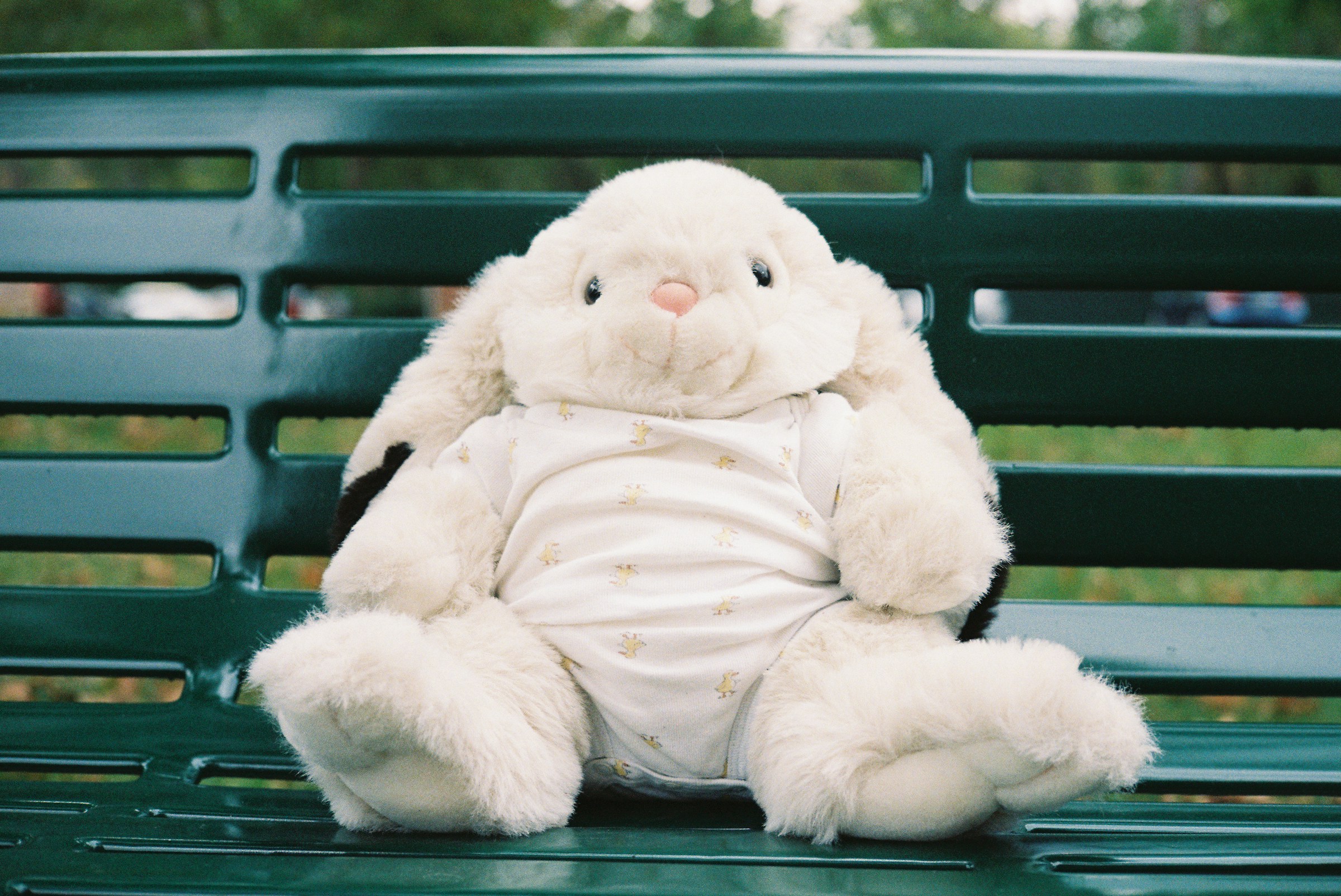A stuffed rabbit sitting on top of a bench | Source: Unsplash