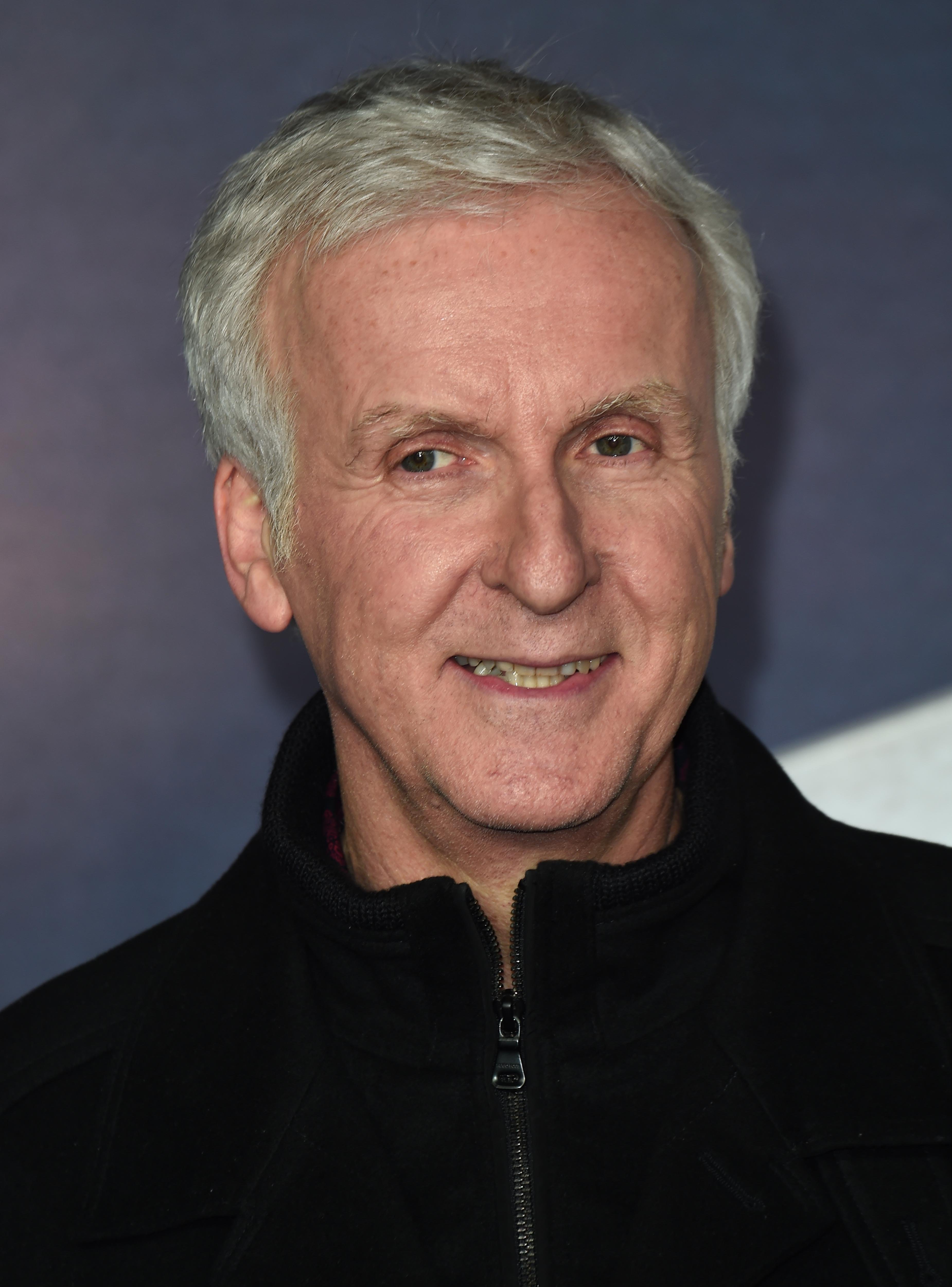 James Cameron attends the "Alita: Battle Angel" world premiere at the Odeon Leicester Square, Luxe Cinema on January 31, 2019 in London, England. | Photo by Eamonn M. McCormack/Getty Images