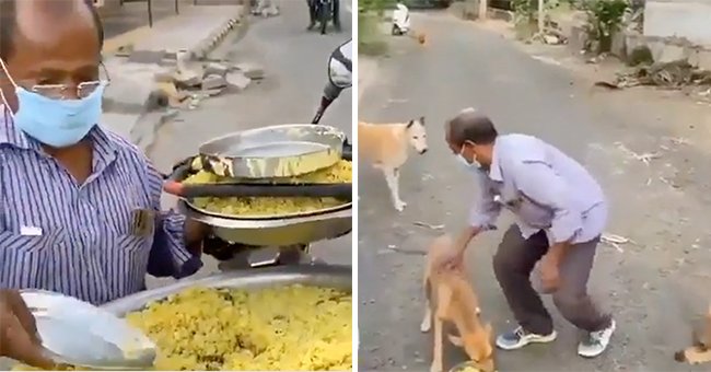 Man feeding the stray dogs. | Source: instagram.com/abhinavjeswani