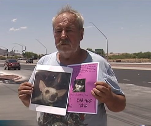 Eddie Collins busca desesperadamente a su chihuahua. | Foto: YouTube/News 4 Tucson KVOA-TV Eddie Collins busca desesperadamente a su chihuahua. | Foto: YouTube/News 4 Tucson KVOA-TV