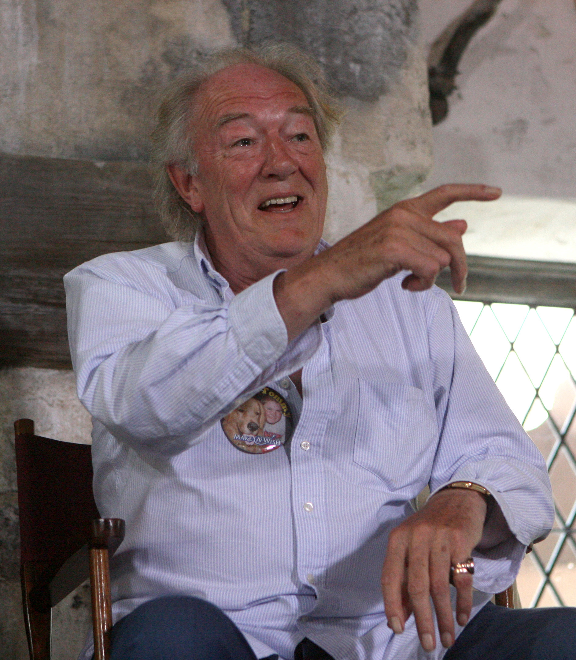 Michael Gambon speaks to the media during a "Harry Potter" film series actor gathering at Universal Orlando's Wizarding World on June 17, 2010, in Orlando, Florida | Source: Getty Images