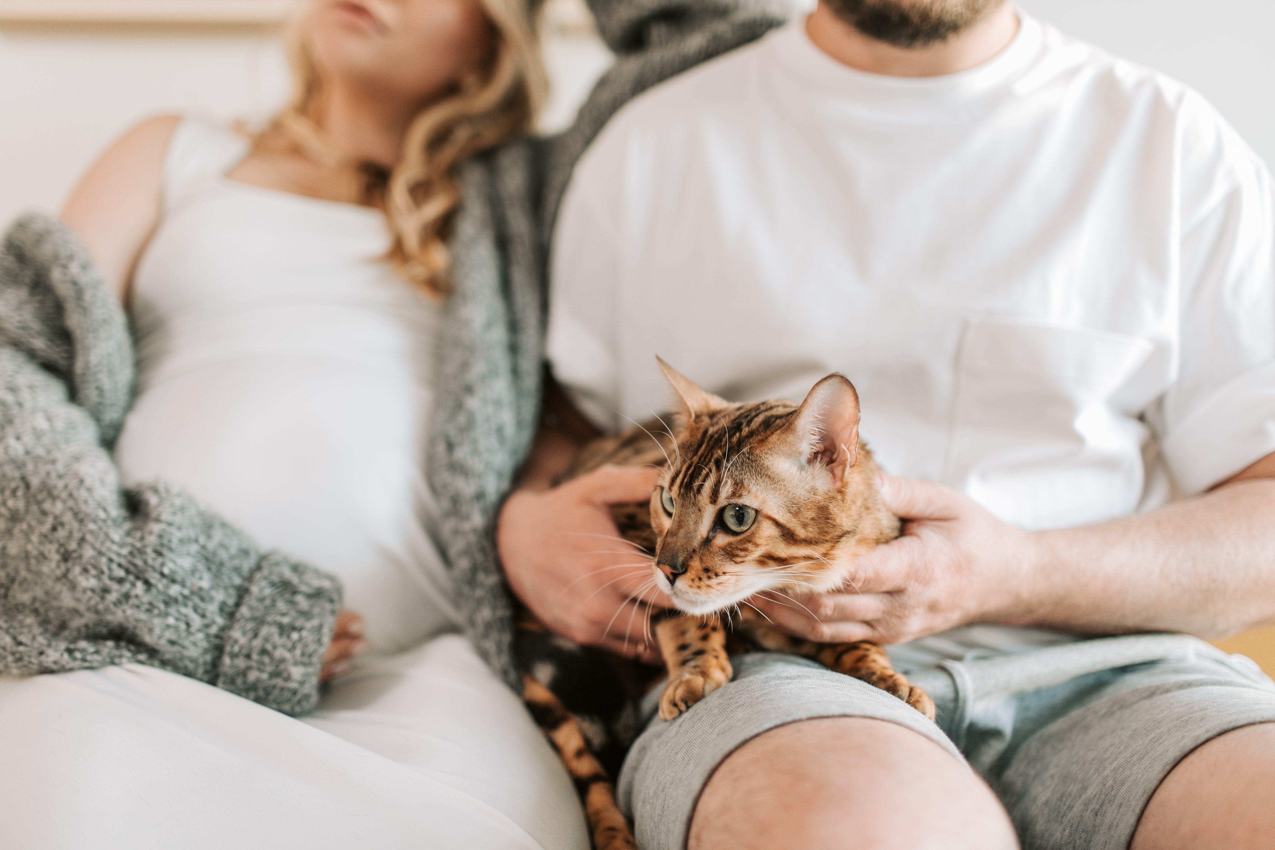 Pregnant woman with her husband and pet cat | Photo: Pexels