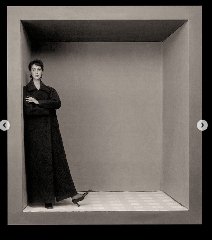 Rama Duwaji rests against the walls of a cubicle, seen from a post dated December 23, 2025. | Source: Instagram/thecut