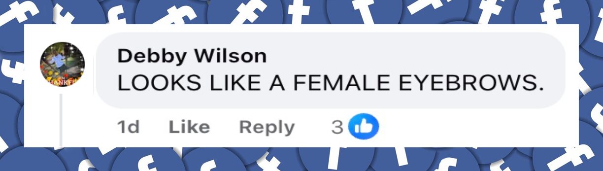 A netizen's comment about the masked individual in front of Nancy Guthrie's home, from a post dated February 11, 2026 | Source: Facebook/Celebritist